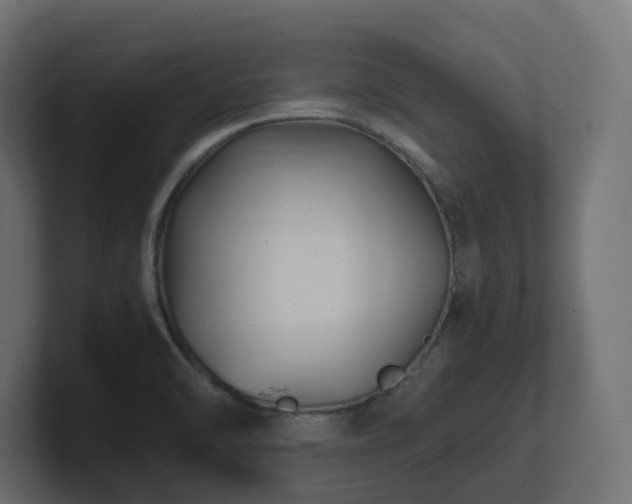 X0000100931470200806241355