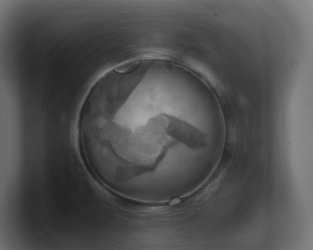 X0000100931471200806241355