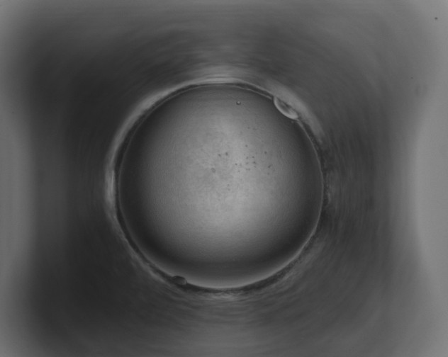 X0000100931472200806241355