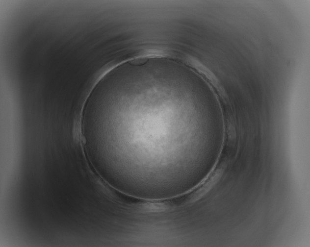 X0000100931473200806241355