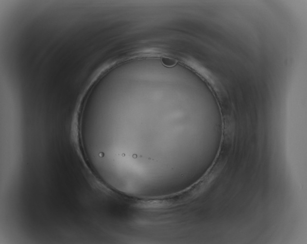 X0000100931474200806241355