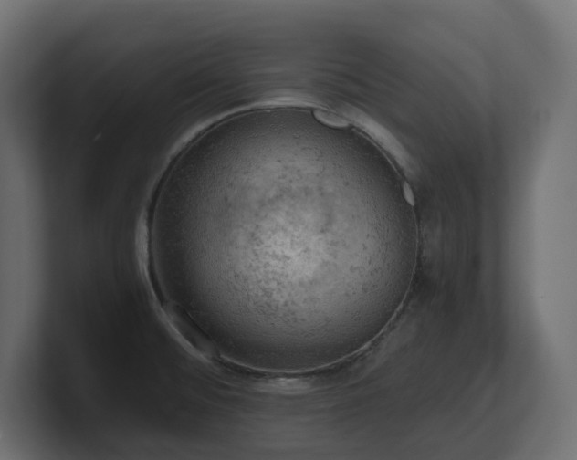 X0000100931476200806241355