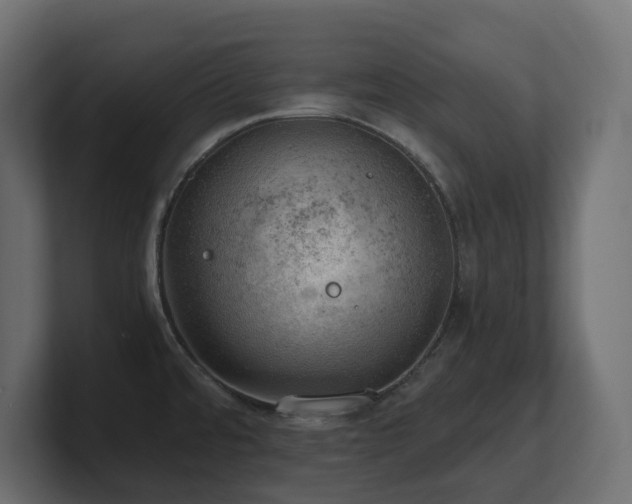 X0000100931480200806241355