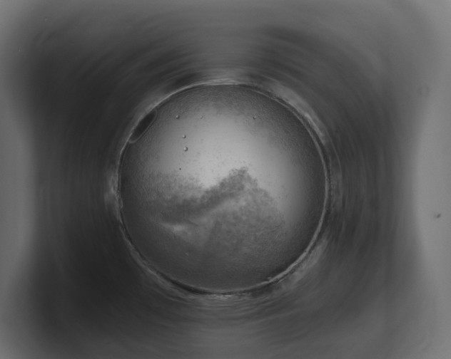 X0000100931481200806241355