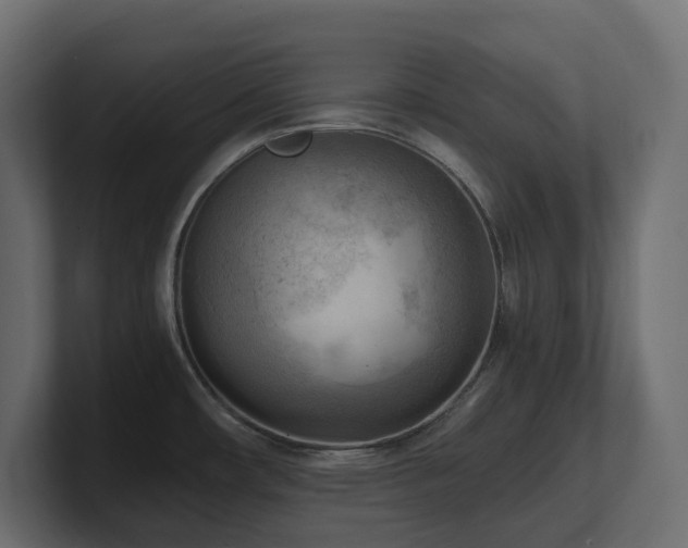 X0000100931482200806241354