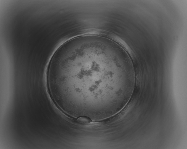 X0000100931483200806241354