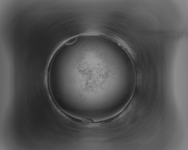 X0000100931484200806241354