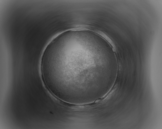 X0000100931485200806241354