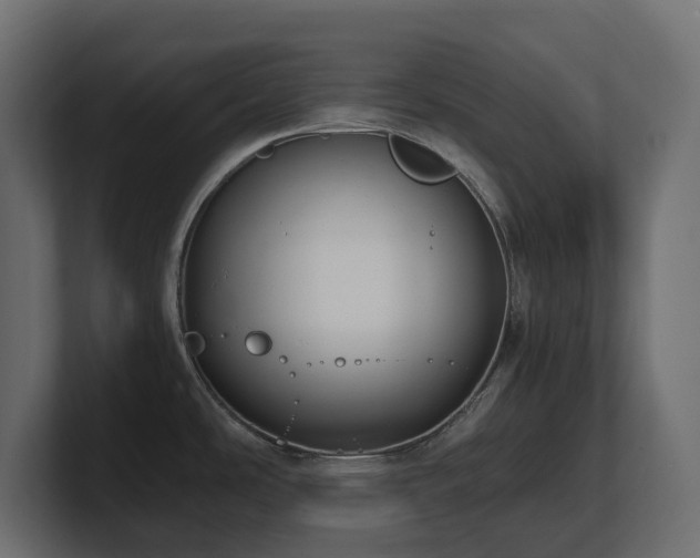 X0000100931486200806241354