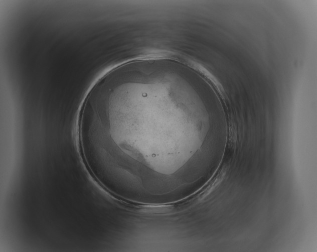 X0000100931487200806241354