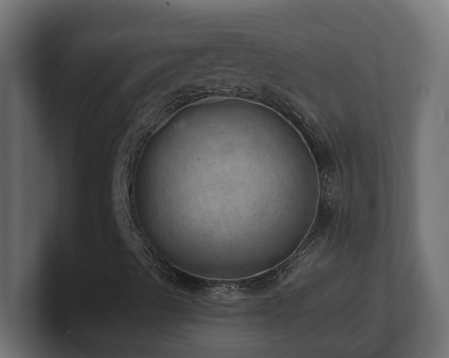 X0000100931489200806241354