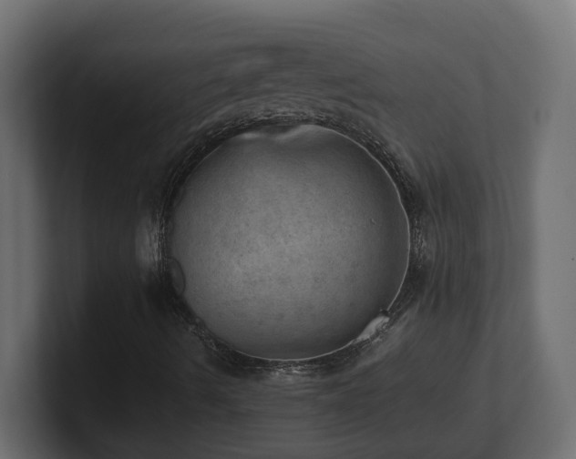 X0000100931490200806241354