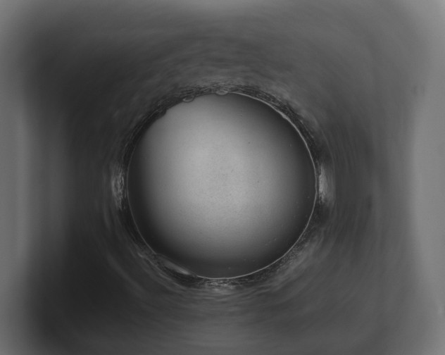 X0000100931492200806241354