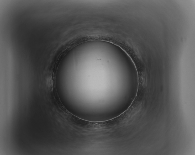 X0000100931493200806241354