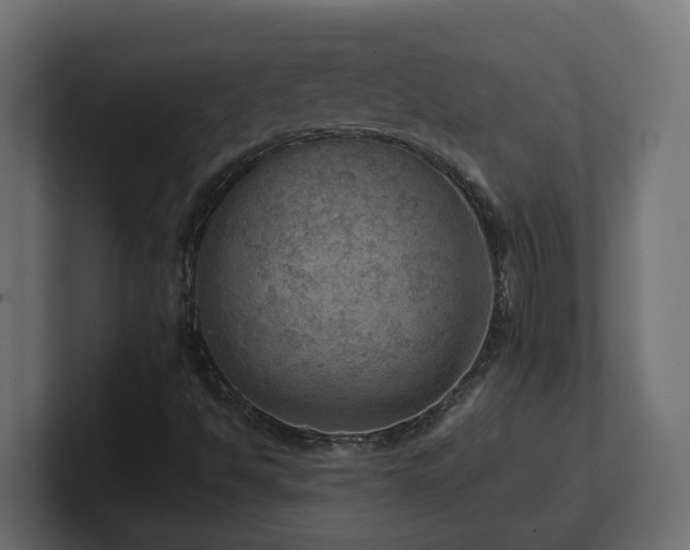 X0000100931494200806241354