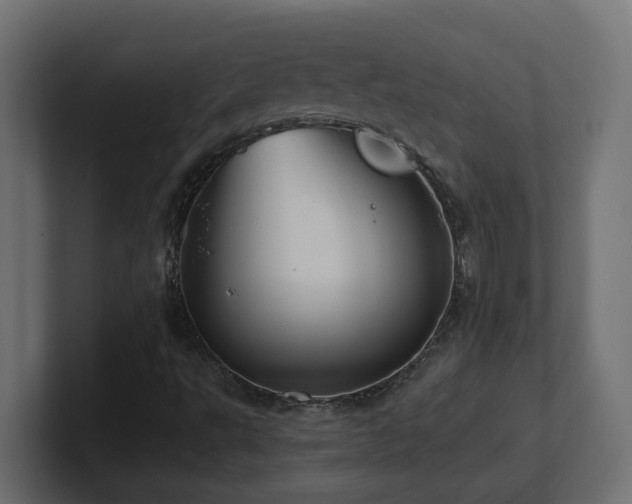 X0000100931495200806241354