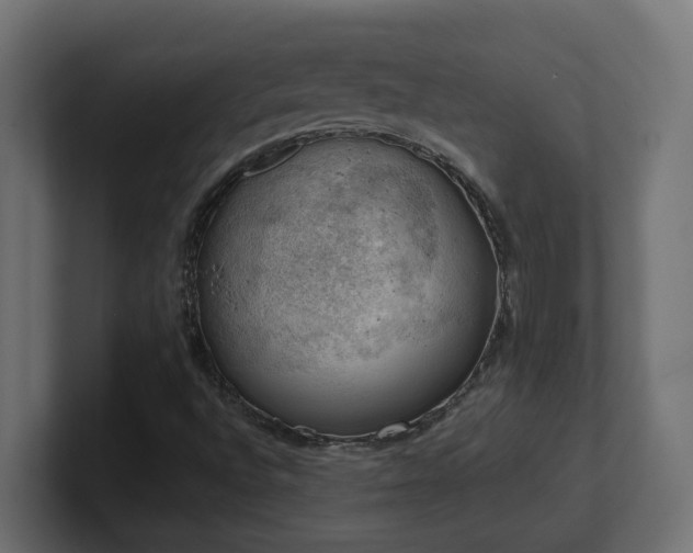 X0000100931496200806241354