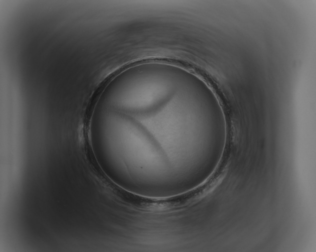 X0000100931497200806241354