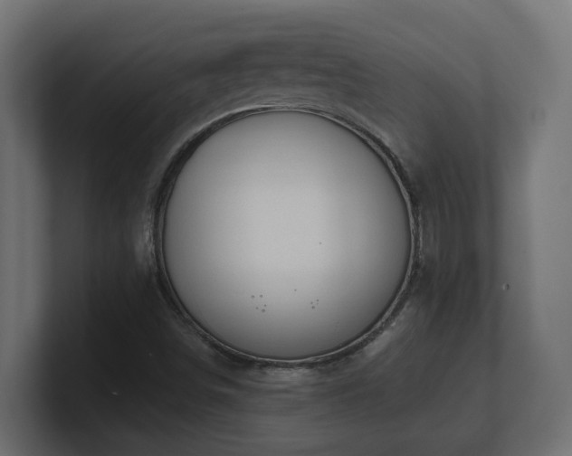 X0000100931498200806241354