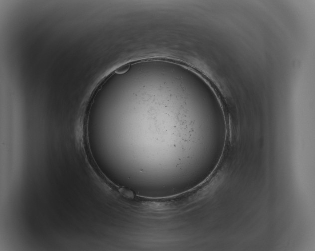 X0000100931500200806241354