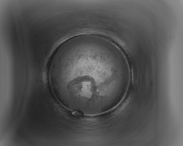 X0000100931501200806241354