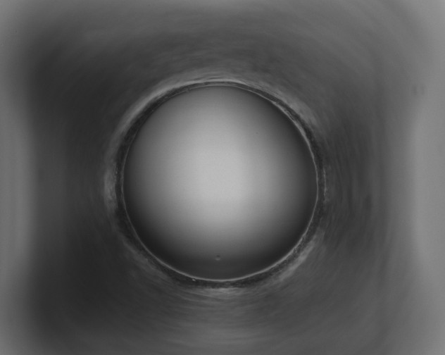 X0000100931502200806241354