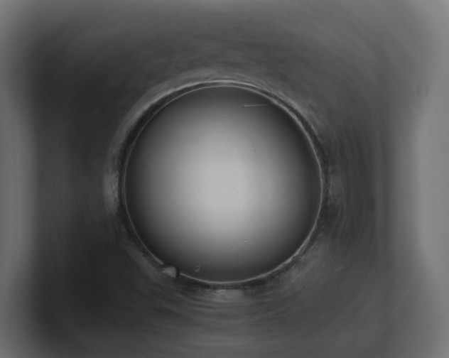 X0000100931503200806241354