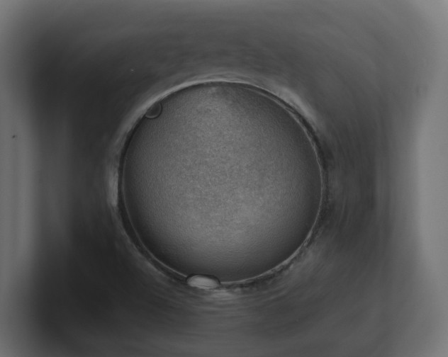 X0000100931504200806241354