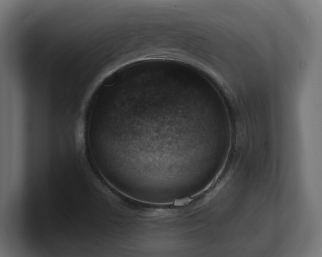 X0000100931506200806241354