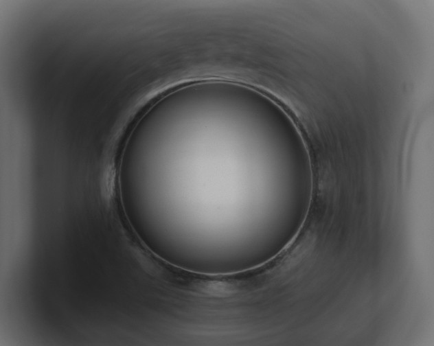 X0000100931507200806241354