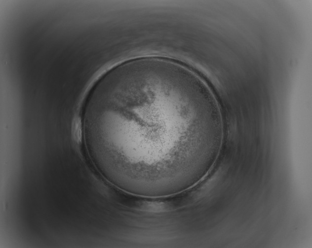 X0000100931509200806241354