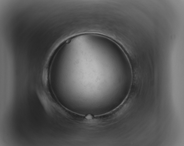 X0000100931511200806241354