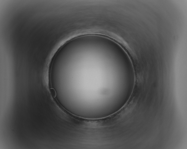 X0000100931512200806241354