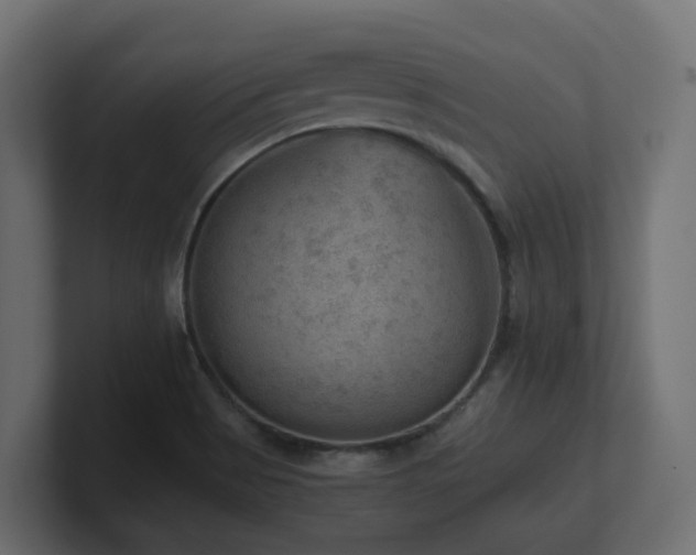 X0000100931513200806241354