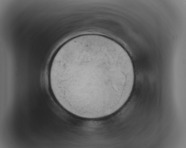 X0000100931514200806241354