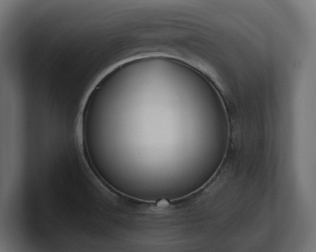 X0000100931516200806241354