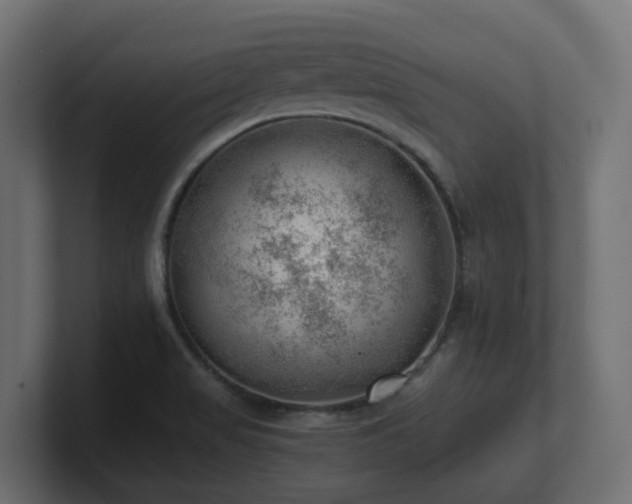 X0000100931517200806241354