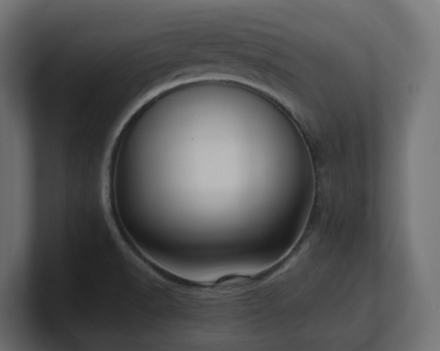 X0000100931518200806241354