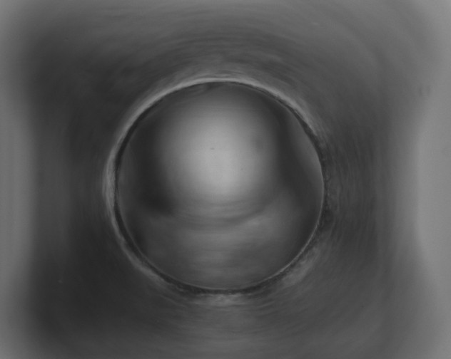 X0000100931519200806241354