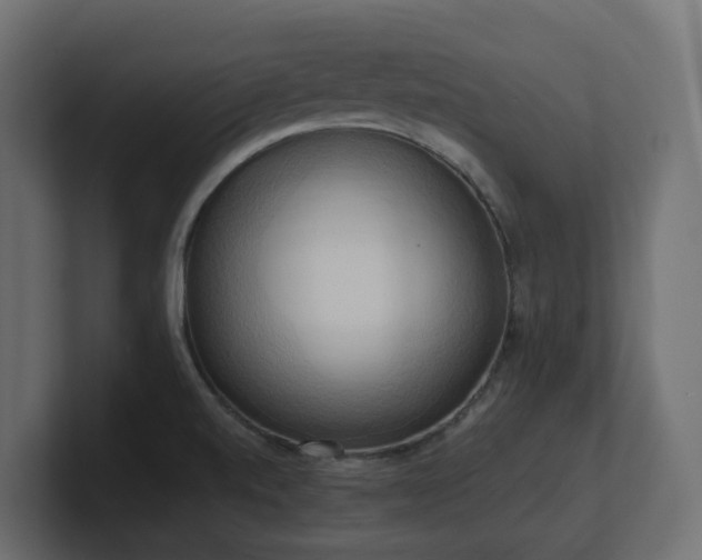 X0000100931520200806241354