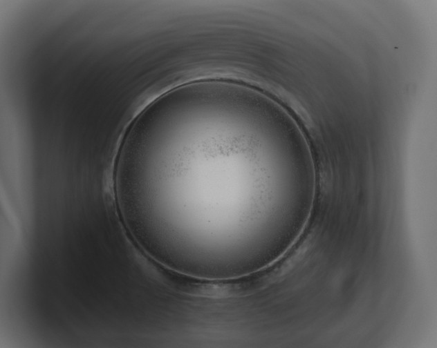 X0000100931521200806241354