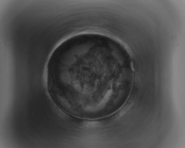 X0000100931522200806241354