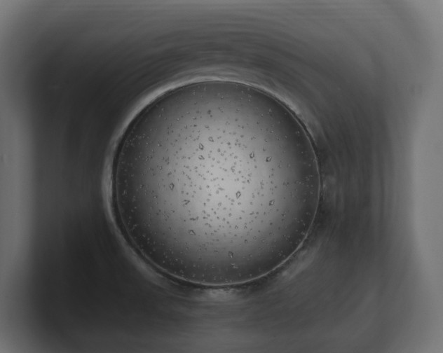 X0000100931523200806241354