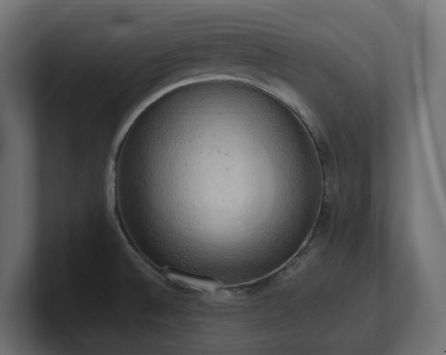 X0000100931524200806241354