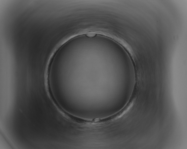 X0000100931525200806241354