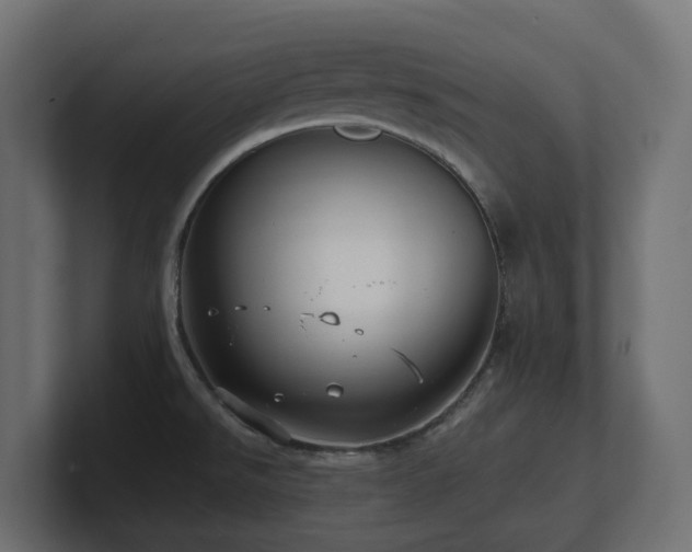 X0000100931526200806241354