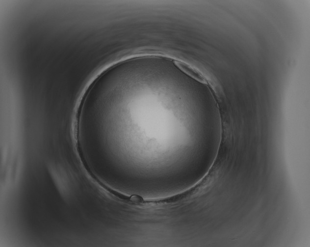 X0000100931527200806241354