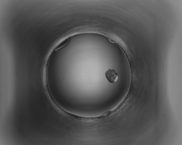 X0000100931528200806241354