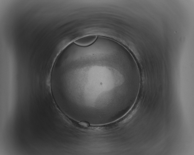 X0000100931529200806241354