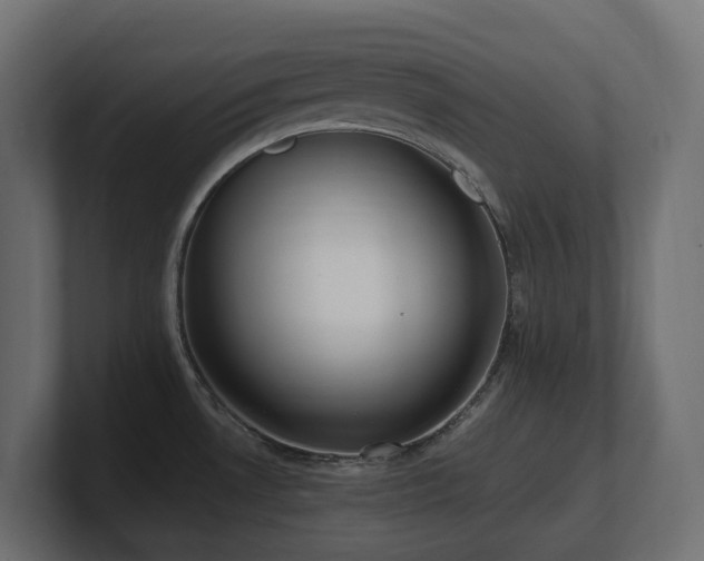 X0000100931530200806241354